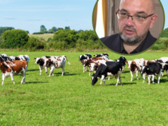 Polskie mleczarnie się łączą. Ekspert ostrzega przed tym, co może nadejść