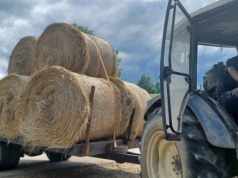 Przepisy o przewozie ładunków nie uwzględniają specyfiki transportu rolnego. Czas to zmienić