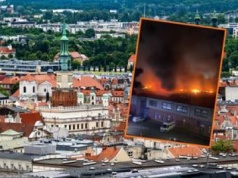 Ogromny pożar w Poznaniu. Ogień w galerii. Szukają... papug