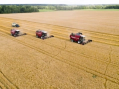Import ukraińskich produktów rolnych do UE oficjalnie zatwierdzony. Ukraina w UE staje się faktem