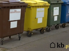 AI ostrzega: tyle zapłacisz za wywóz śmieci w 2035 roku. Kwota powala!