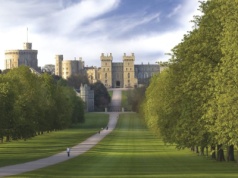 Greenpeace grozi brytyjskiej monarchii. Chodzi o wiatraki