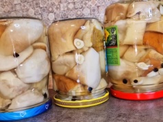Grzybki smakują zjawiskowo. Marynata wynosi je na mistrzowski poziom
