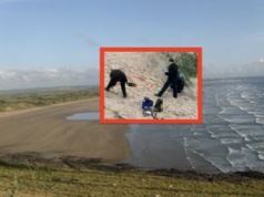 Makabra na plaży w Saunton Sands. Szczątki w piasku koło sauny