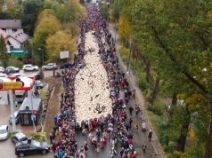 Tysiące owiec przeszły ulicami Szczawnicy. Jesienny redyk przyciągnął tłumy