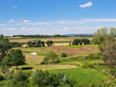 W tych gminach ARiMR skontroluje rolników