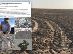 Niemieckie media o sensacji archeologicznej w Polsce. "To wielki skarb"