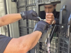 10-letni wilczy bilet dla Gruzina