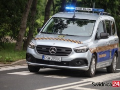 Potrącony kot, parkowanie na trawnikach, problemy z bezdomnymi i pijanymi. Interwencje straży miejskiej