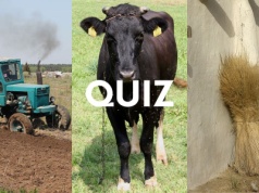 Oto wiejski quiz wiedzy ogólnej! Mieszczuchy niech nie liczą na 11/11
