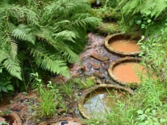 Niezwykła atrakcja w Beskidach. Mofety uwalniają dwutlenek węgla z głębi Ziemi