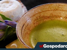 Matcha – kto powinien na nią uważać?