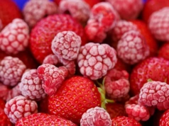 Eksport ukraińskich owoców jagodowych nadal rośnie pomimo spadku produkcji. Jakie owoce z Ukrainy trafiają do Polski?