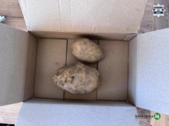 Zamiast telefonu dostała… dwa ziemniaki!