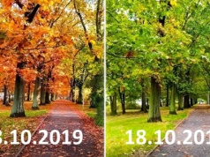 Od 21 lat robimy zdjęcie w tym samym dniu. Zaskakujące porównanie rok po roku