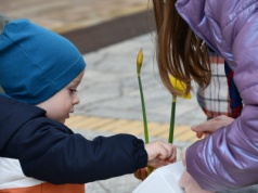 Bielsko-Biała: modlitwa i żonkile na rozpoczęcie programu „Pola Nadziei”
