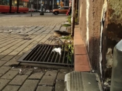 Kolejne miasta wprowadzają nocną prohibicję. Najwyższy czas na Katowice