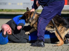 Strzały, napad i poszukiwanie narkotyków. Spokojnie, to tylko ćwiczenia!