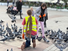 Na Rynku Głównym odławiano chore gołębie. Fundacje rozpoczęły akcję ratunkową (ZDJĘCIA)