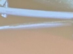 Nagroda Giedroycia przyznana w Lublinie