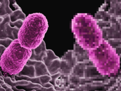 W krajowskiej fabryce AI powstaną 