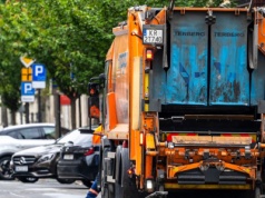 Nietypowe odkrycie w Krakowie. Jadowite pająki w koszu na śmieci