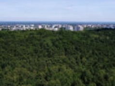 Czy Zielona Góra powinna wrócić do pomysłu wieży widokowej na Wzgórzach Piastowskich?