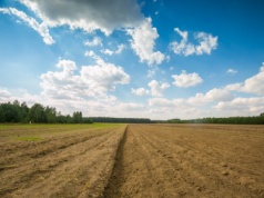Glony zamiast chemii. Starożytna metoda wraca na europejskie pola
