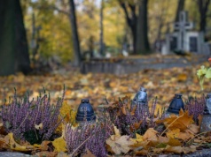 Apel Zarządu Cmentarzy Komunalnych. Przeczytaj!