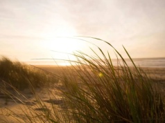 Złowroga aura na weekend. Opady śniegu, deszczu i porywisty wiatr
