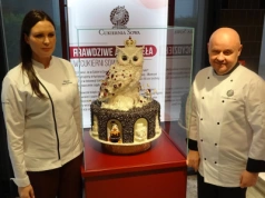 Codziennie z Bydgoszczy wyjeżdżają torty i kawa na całą Polskę. Tak wygląda ich produkcja