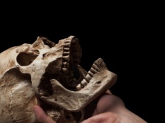 Tempo ewolucji człowieka przebiło małpy. Naukowcy zaskoczeni