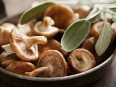 Komputer stworzony z grzybów. Brzmi jak szaleństwo, ale to działa