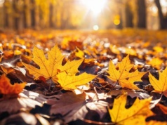 Nagle zrobi się wyjątkowo ciepło. Jest dokładna data