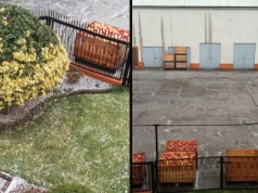 Koniec października, a tu grad: ucierpiały Idared i Alwa