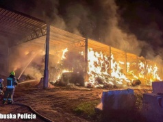 800 tysięcy złotych strat w gospodarstwie! Podpalacz złapany
