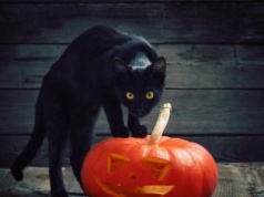 Duchy wracają na ziemię. Skąd się wzięło Halloween?