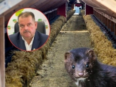 „Coś tu jest nie tak”. Rolnicy apelują do prezydenta Nawrockiego