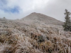 Tarnica. Najwyższy szczyt Bieszczadów. Najkrótszy szlak na Tarnicę!