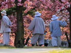 Pogoda i temperatury w Korei Południowej – kiedy jechać na wakacje z Planet Escape?