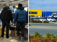 Ikea kupuje lasy nad Bałtykiem. Tak Polacy mogą na tym skorzystać