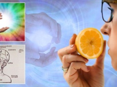 Zaginione zmysły człowieka – czy naprawdę mieliśmy ich więcej?