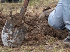 Niezwykłe odkrycie w Jerozolimie. Archeolożka aż krzyknęła z ekscytacji