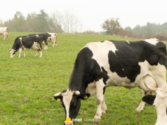 Rolnicy walczą z hałasem strzelnicy. 