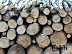 Jakie drewno niszczy piec i komin? Lista gatunków, których lepiej unikać