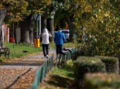 Naukowcy: dłuższy spacer lepszy niż kilka krótkich