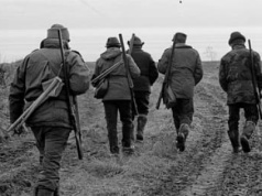 Rekordowe konsultacje, prawie 21 tys. oddanych głosów. Większość popiera badania dla myśliwych