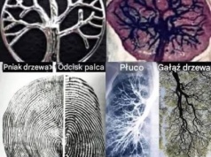 CZY NIEZALEŻNE MEDIA PRZETRWAJĄ?