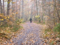 Poszedł na grzyby i nie wrócił. 75-latek znaleziony martwy