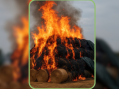 13-lateni podpalacz puścił 850 balotów z dymem. Straty to ponad 125 tys. zł